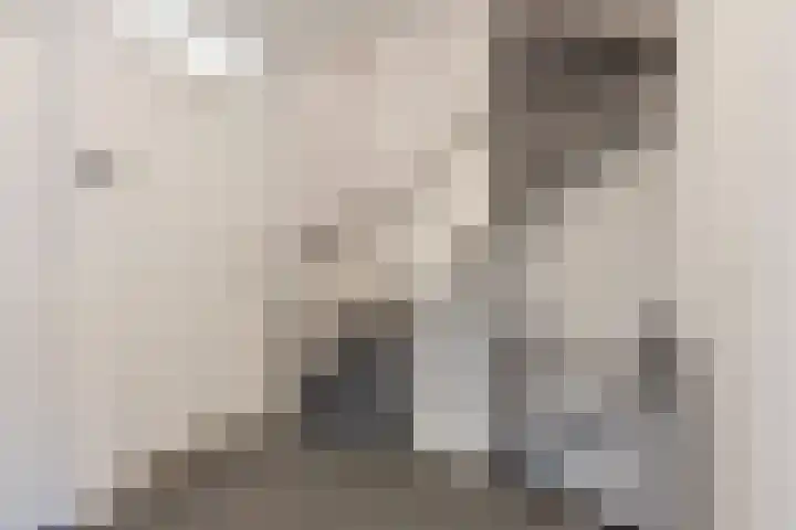 Bosboomstraat 14 Dongen thumbnail 20