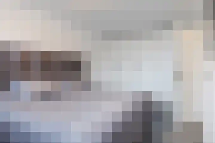 Bosboomstraat 14 Dongen thumbnail 21