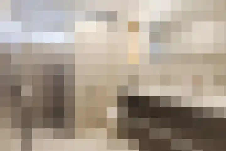 Bosboomstraat 14 Dongen thumbnail 26