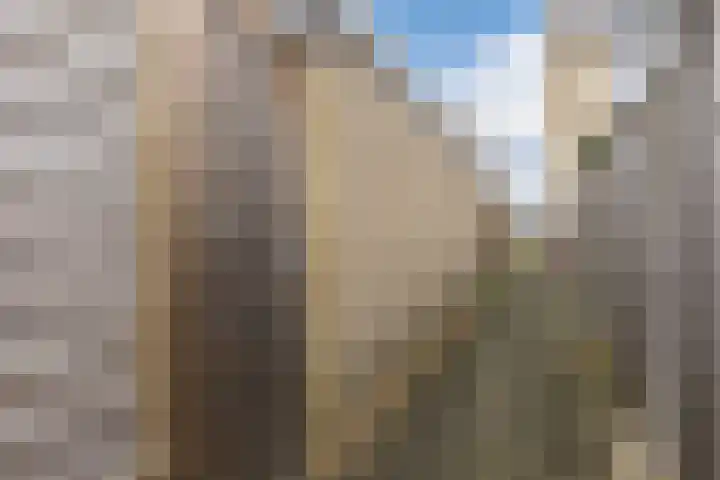 Bosboomstraat 14 Dongen thumbnail 32