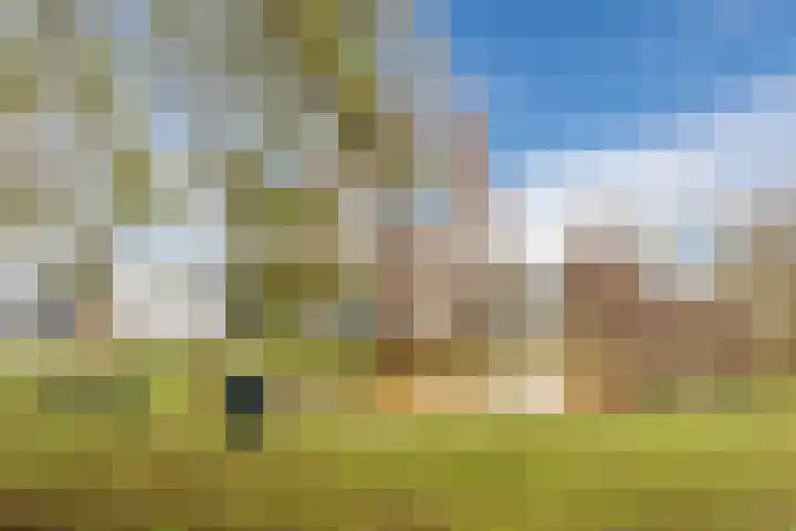 Bosboomstraat 14 Dongen thumbnail 34