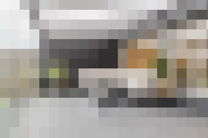 Bosboomstraat 14 Dongen thumbnail 4