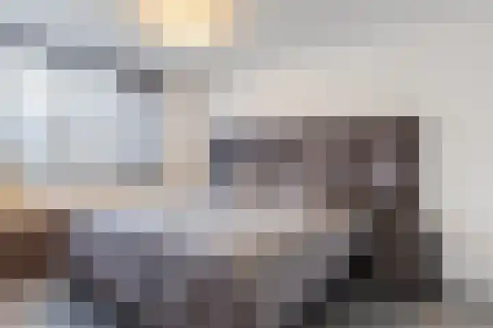 Bosboomstraat 14 Dongen thumbnail 5