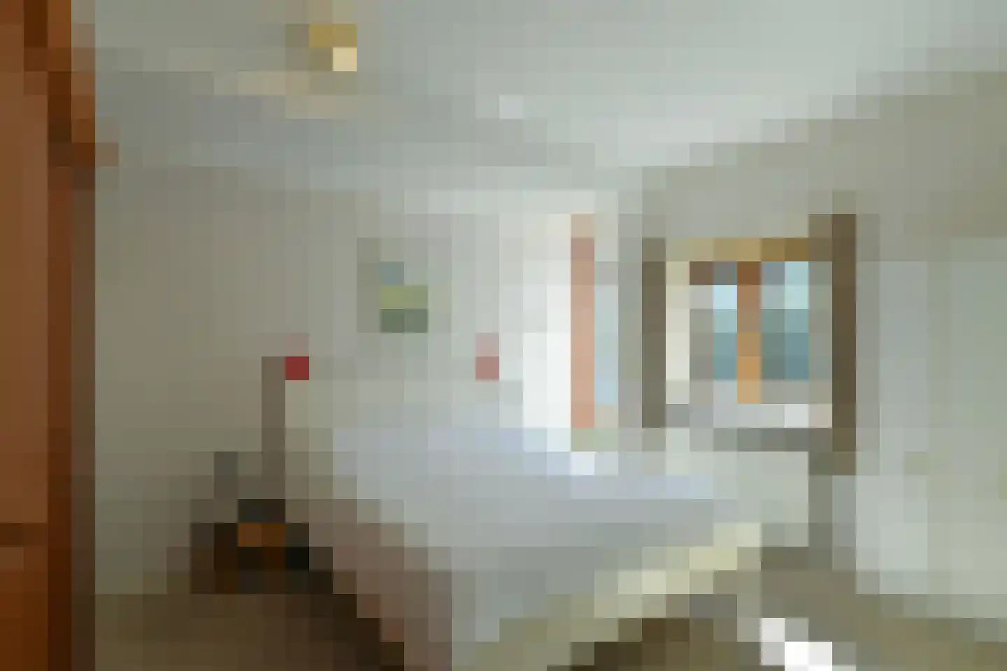 Bosboomstraat 19 Arnhem thumbnail 13