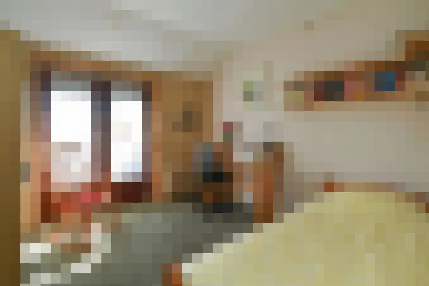 Bosboomstraat 19 Arnhem thumbnail 19