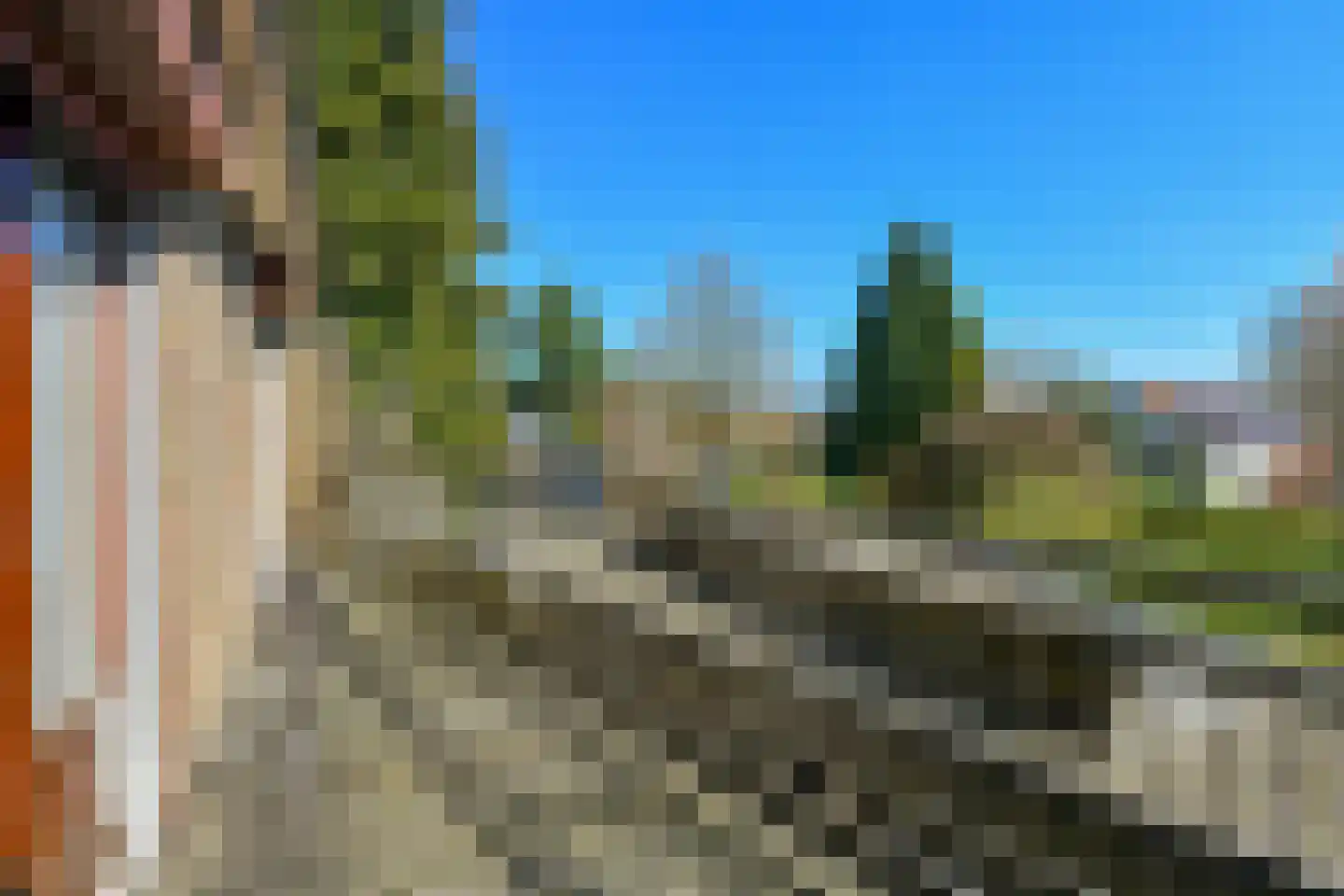 Bosboomstraat 19 Arnhem thumbnail 32