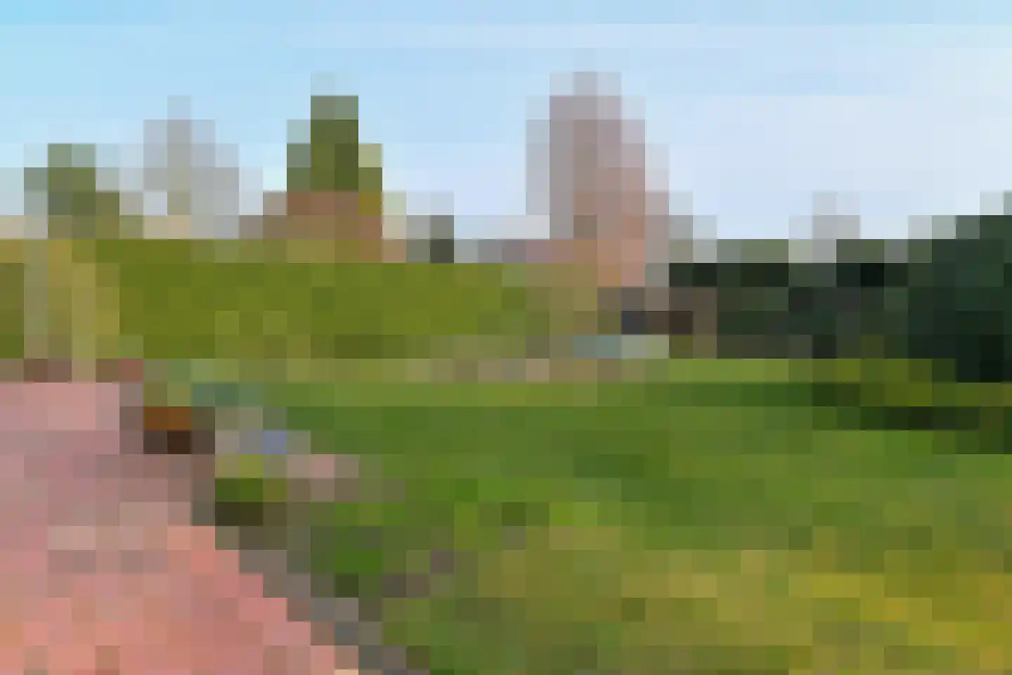 Bosboomstraat 19 Arnhem thumbnail 40