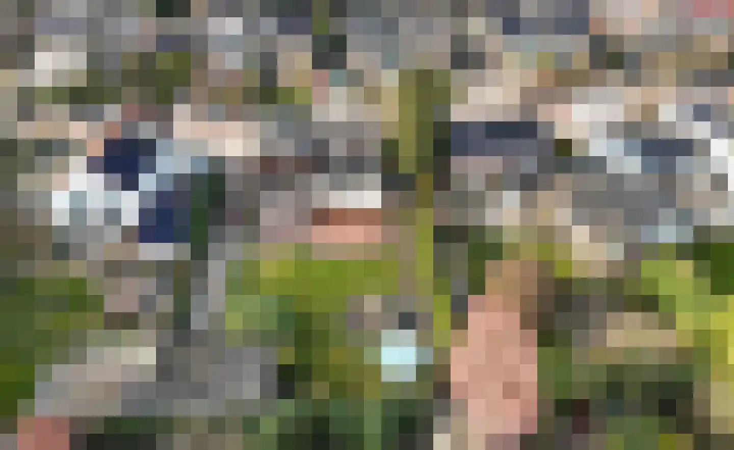 Bosboomstraat 19 Arnhem thumbnail 43