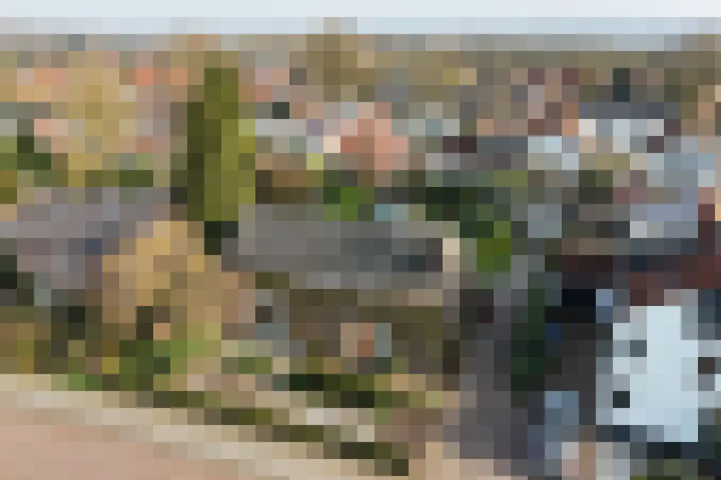 Bosboomstraat 19 Arnhem thumbnail 45