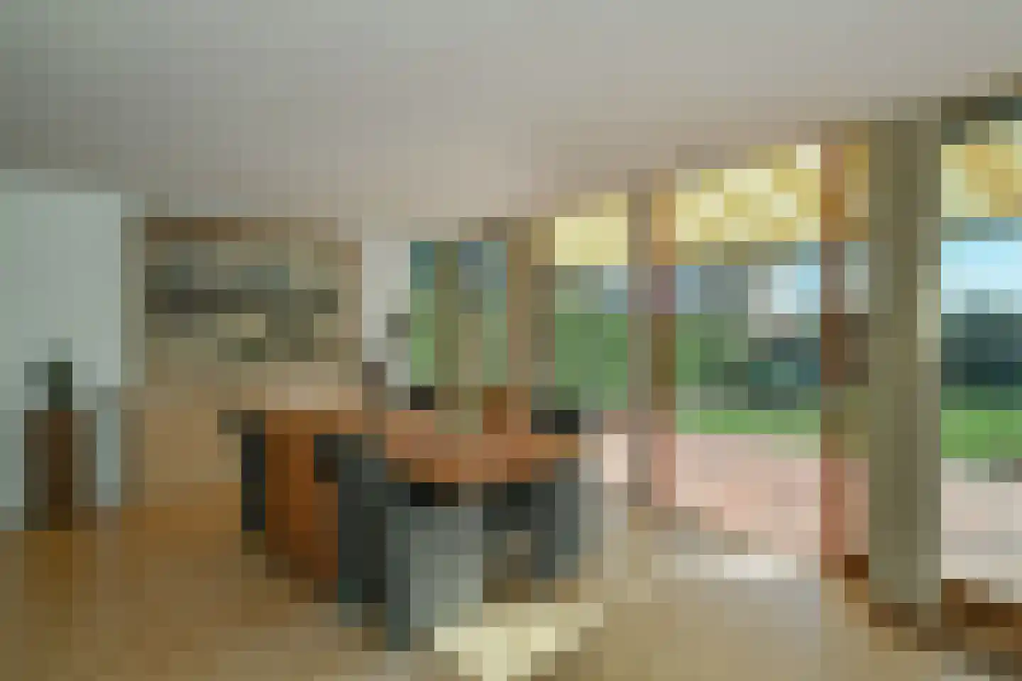Bosboomstraat 19 Arnhem thumbnail 9