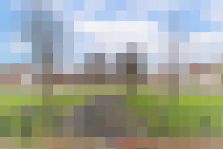 Bosboomstraat 2 BIS Den Haag thumbnail 10