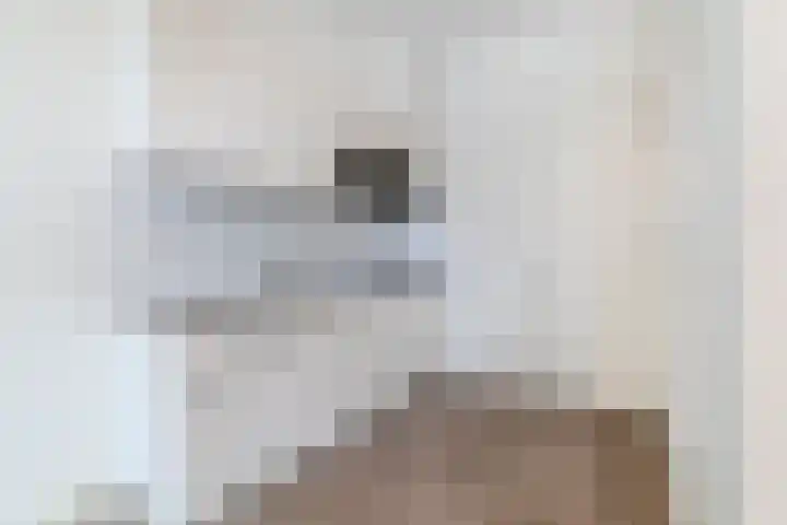 Bosboomstraat 2 BIS Den Haag thumbnail 5