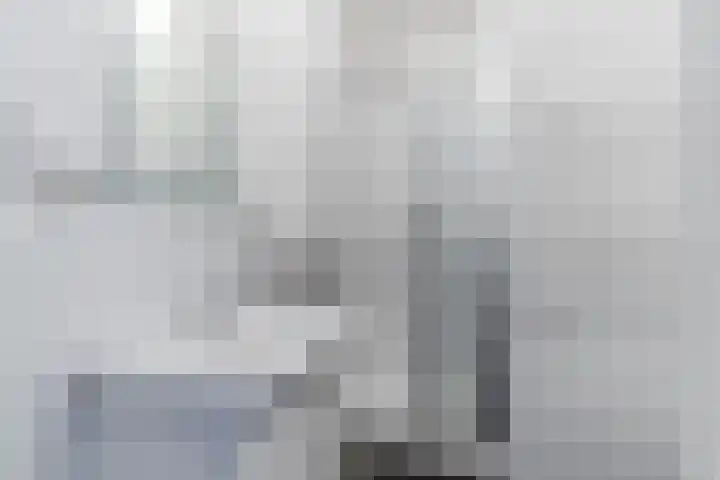 Bosboomstraat 2 BIS Den Haag thumbnail 9