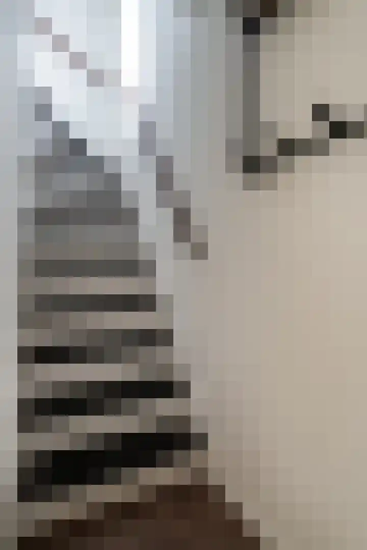 Bosboomstraat 2 Duiven thumbnail 11