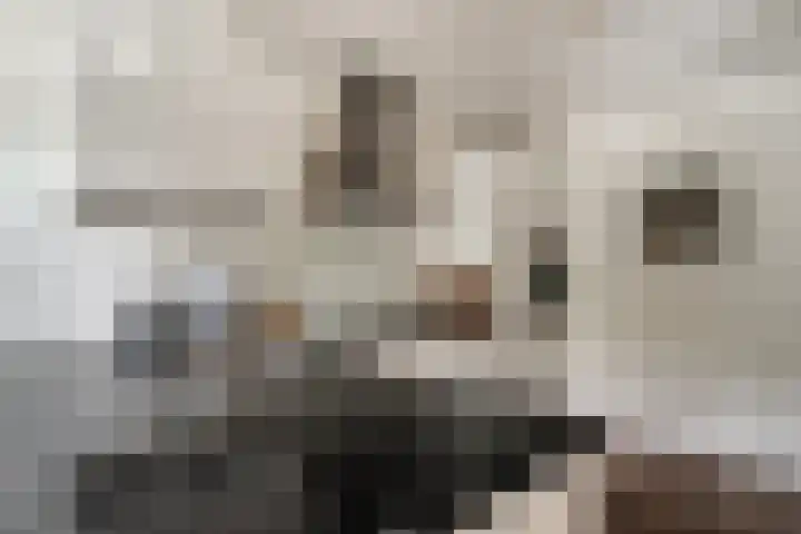 Bosboomstraat 2 Duiven thumbnail 19