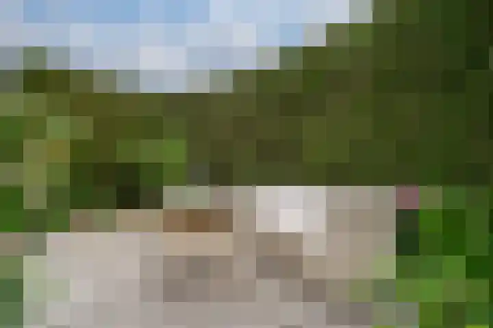 Bosboomstraat 2 Duiven thumbnail 29