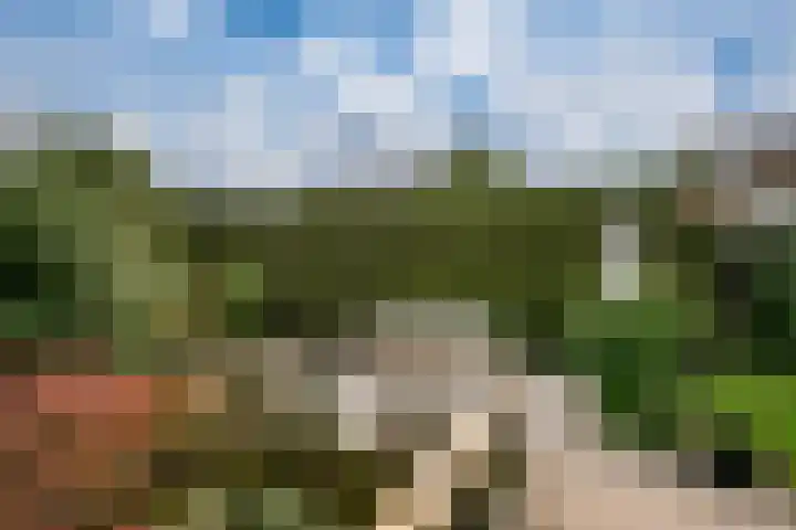 Bosboomstraat 2 Duiven thumbnail 32