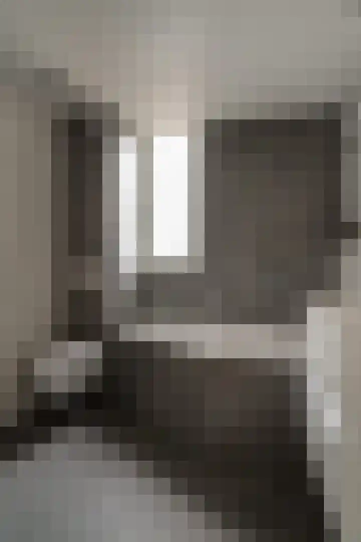 Bosboomstraat 2 Duiven thumbnail 46