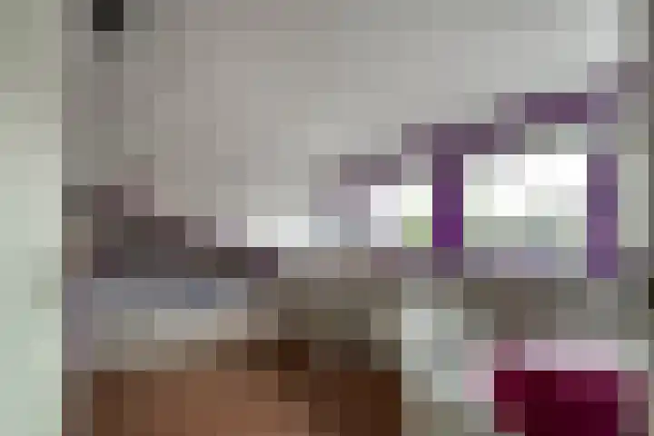 Bosboomstraat 2 Duiven thumbnail 52