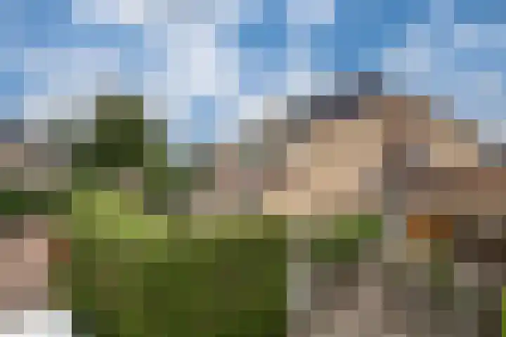 Bosboomstraat 2 Duiven thumbnail 6