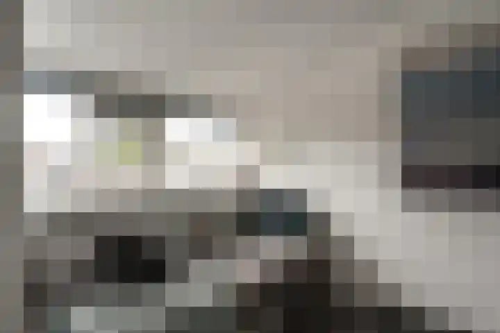 Bosboomstraat 2 Duiven thumbnail 60