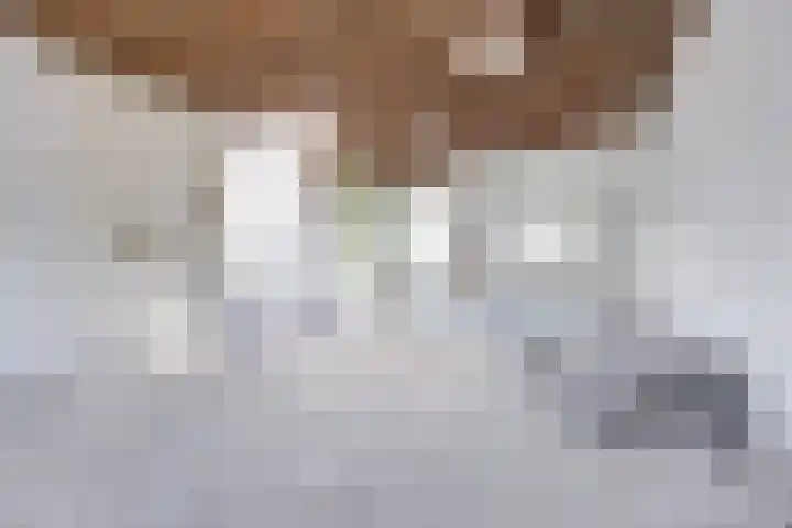 Bosboomstraat 26 BS Utrecht thumbnail 24