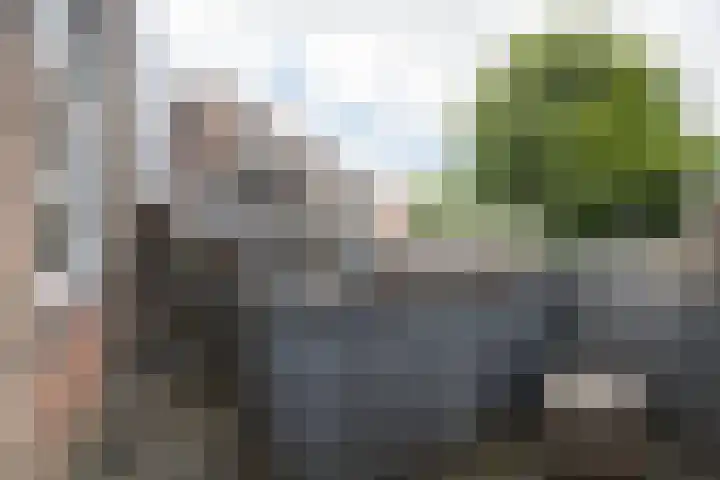 Bosboomstraat 26 BS Utrecht thumbnail 29