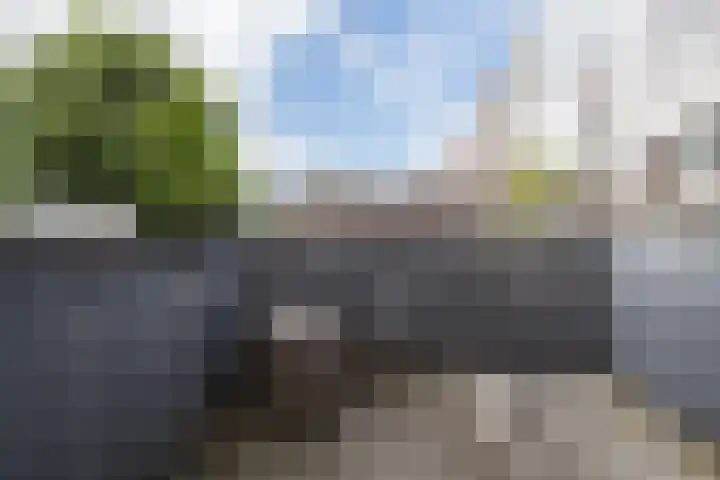 Bosboomstraat 26 BS Utrecht thumbnail 4