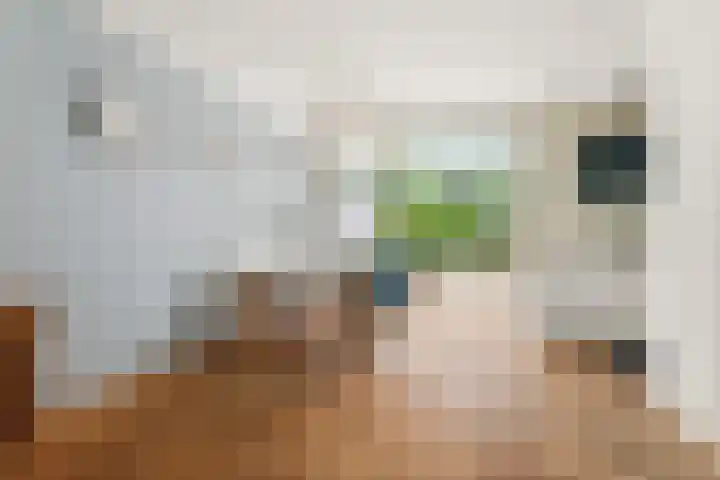 Bosboomstraat 38 Arnhem thumbnail 10