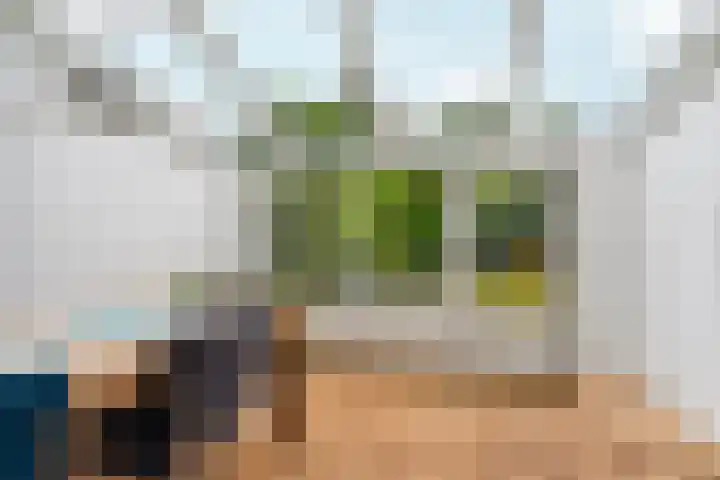 Bosboomstraat 38 Arnhem thumbnail 17