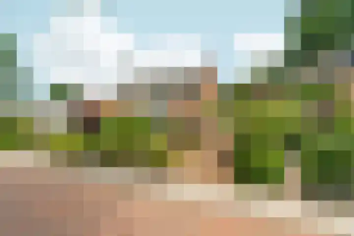 Bosboomstraat 38 Arnhem thumbnail 35