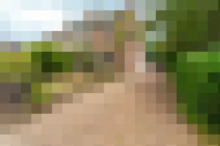 Bosboomstraat 38 Arnhem thumbnail 36