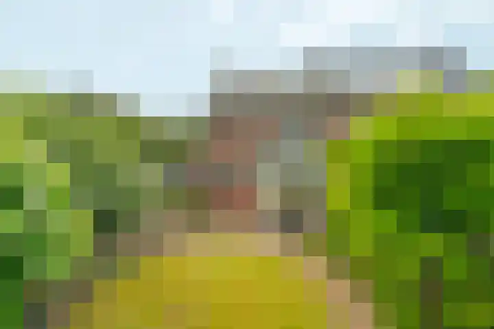 Bosboomstraat 38 Arnhem thumbnail 37