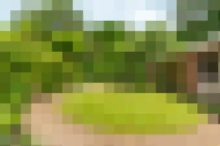Bosboomstraat 38 Arnhem thumbnail 40