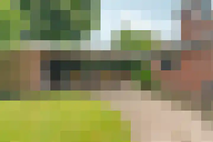 Bosboomstraat 38 Arnhem thumbnail 41