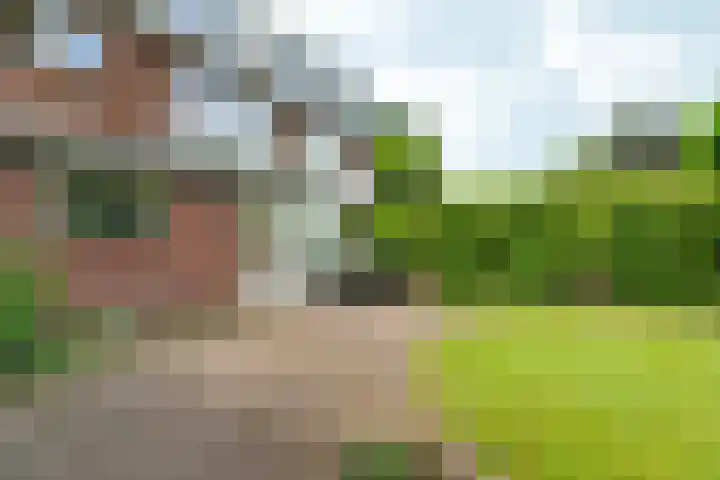 Bosboomstraat 38 Arnhem thumbnail 43