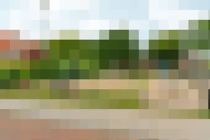 Bosboomstraat 38 Arnhem thumbnail 44