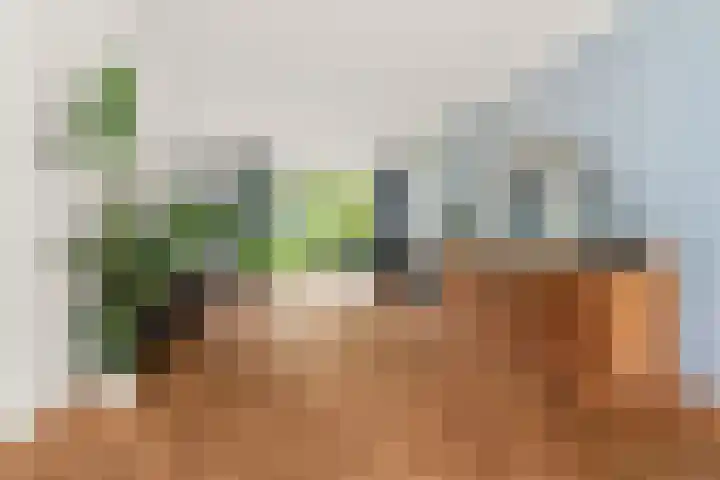 Bosboomstraat 38 Arnhem thumbnail 5