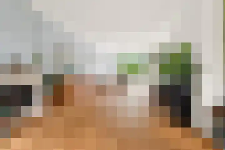 Bosboomstraat 38 Arnhem thumbnail 9