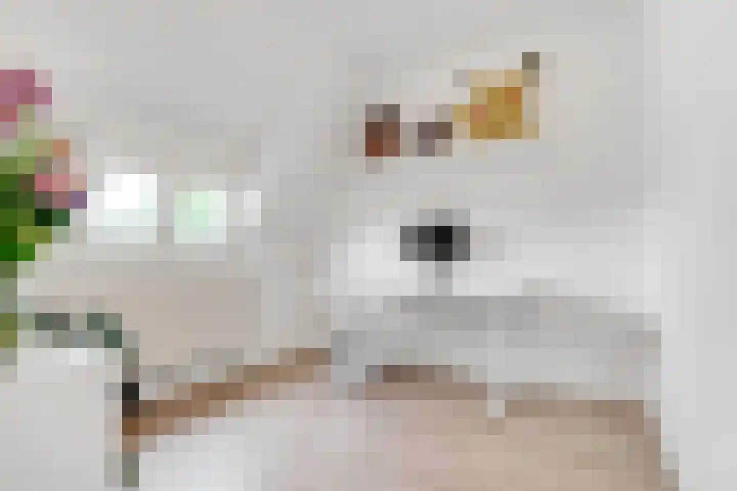 Bosboomstraat 6 BS Utrecht thumbnail 23