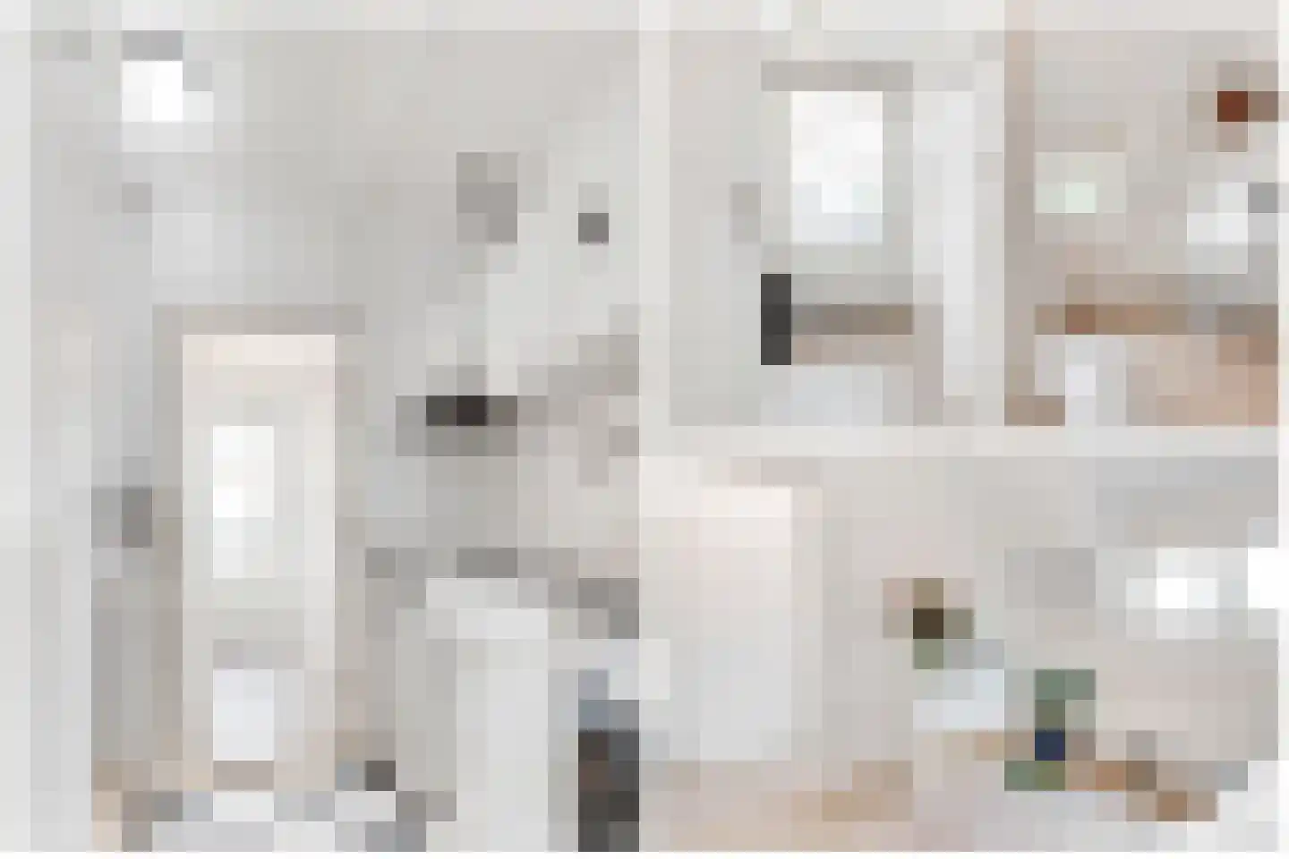 Bosboomstraat 6 BS Utrecht thumbnail 28