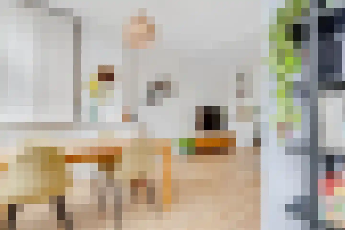 Bosboomstraat 6 BS Utrecht thumbnail 8