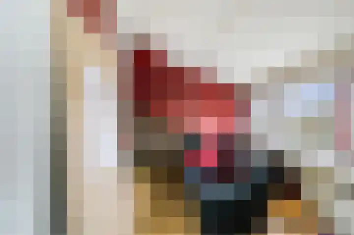 Bosboomstraat 6 Duiven thumbnail 21