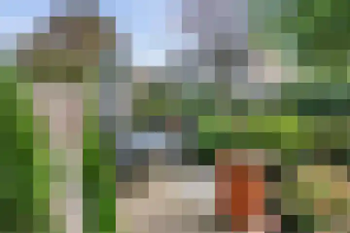 Bosboomstraat 6 Duiven thumbnail 25