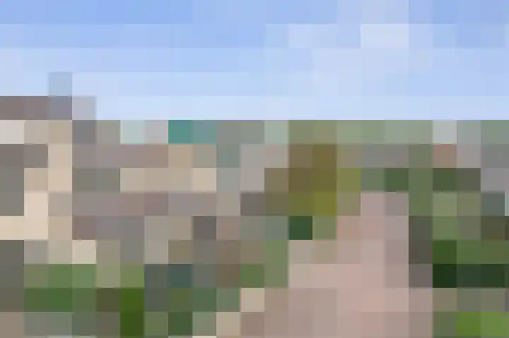 Bosboomstraat 6 Duiven thumbnail 30