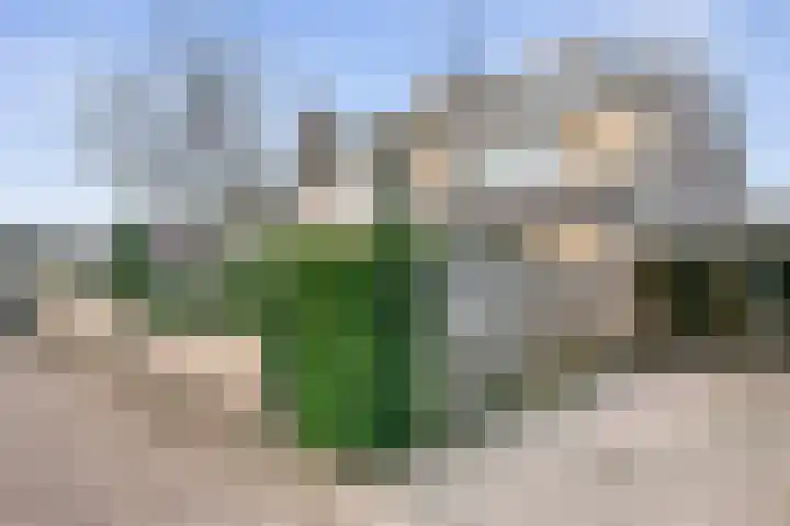 Bosboomstraat 6 Duiven thumbnail 32