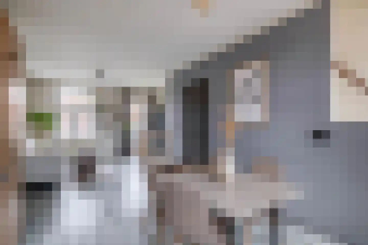 Bosboomstraat 62 A Eindhoven thumbnail 17