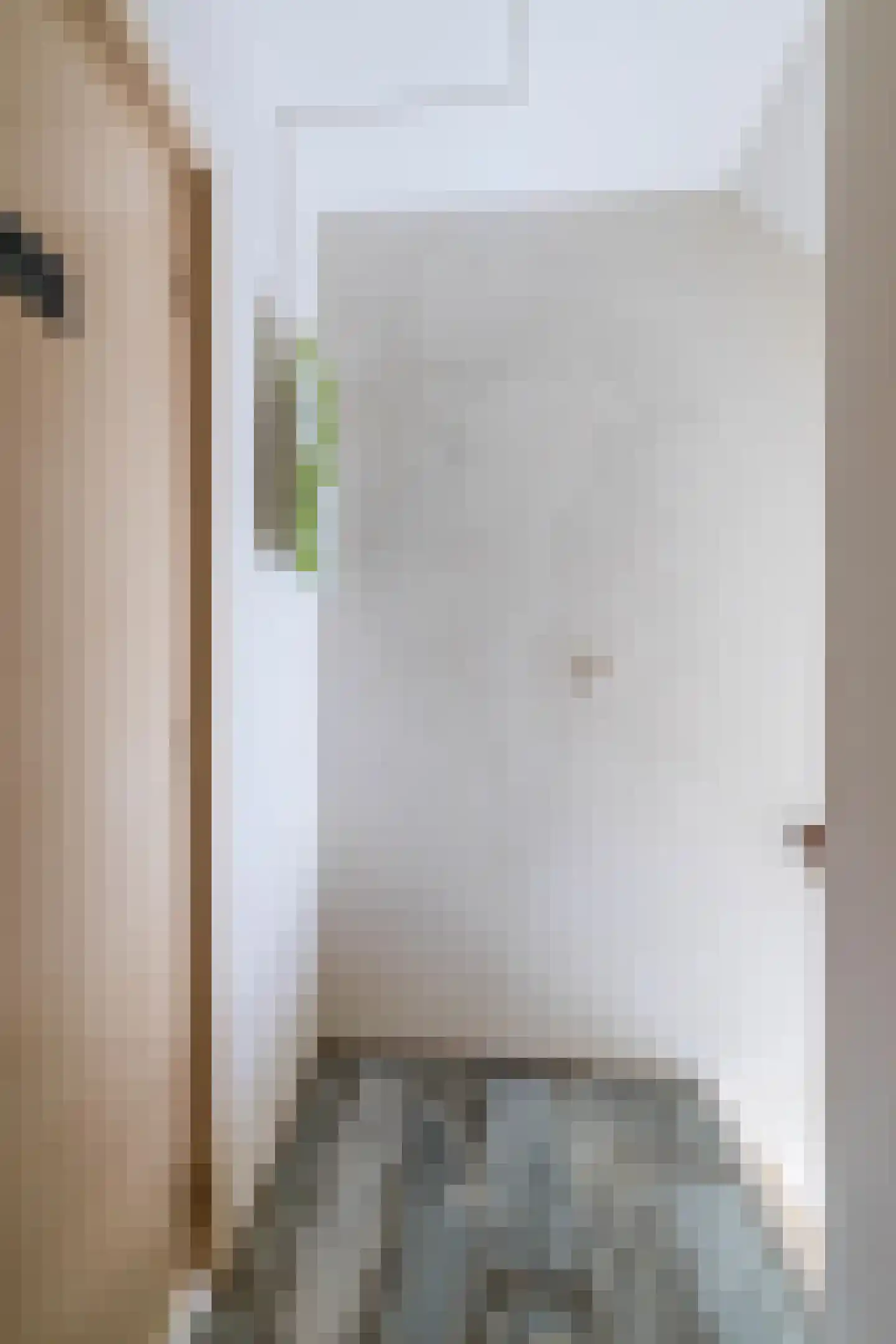 Bosboomstraat 62 A Eindhoven thumbnail 26
