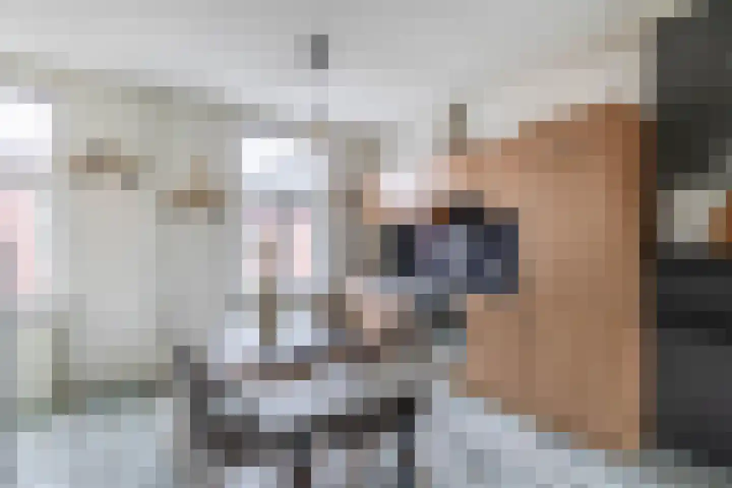 Bosboomstraat 62 A Eindhoven thumbnail 4