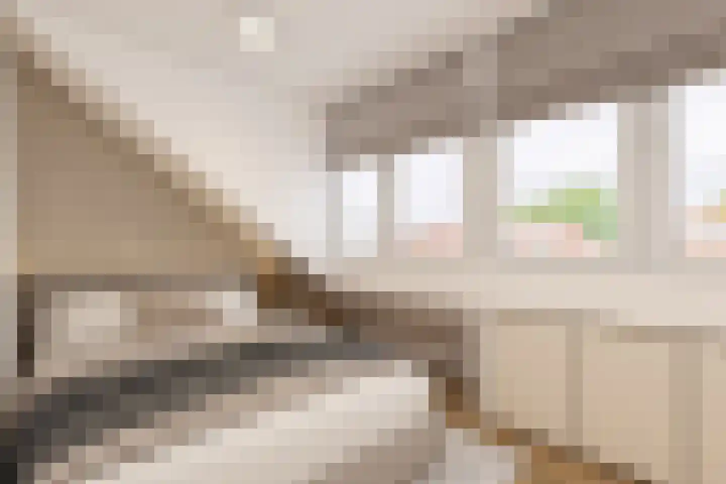 Bosboomstraat 62 A Eindhoven thumbnail 6